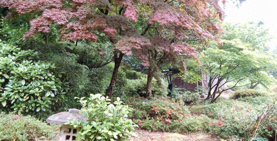 坪川氏庭園 sakazuki.shuta@gmail.com